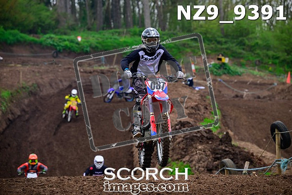 NZ9_9391