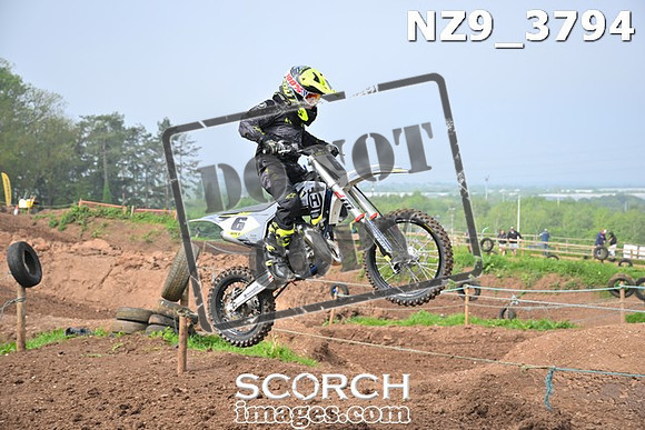 NZ9_3794
