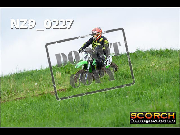 IntersGreen-177
