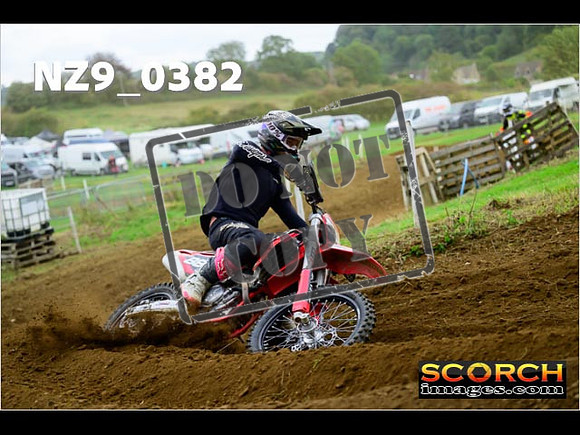 Experts-330