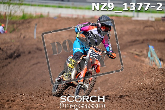 NZ9_1377-2