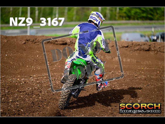 Inters-231