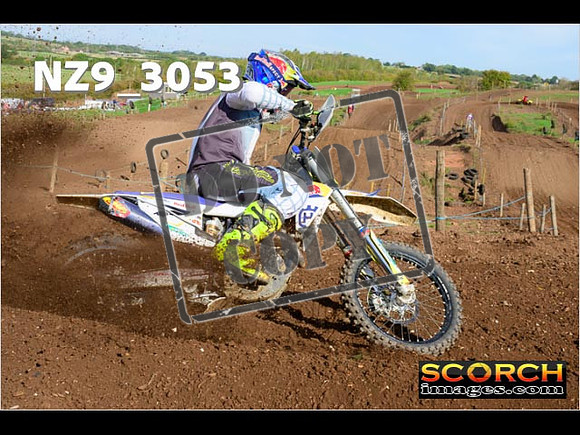Experts-246