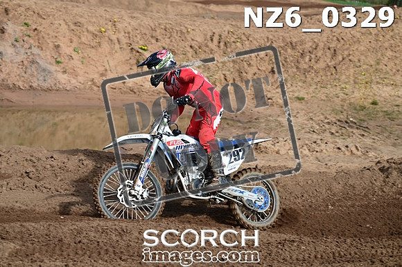 NZ6_0329