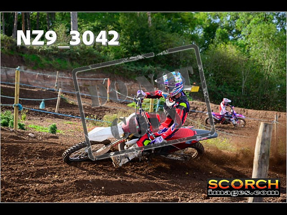 Experts-235