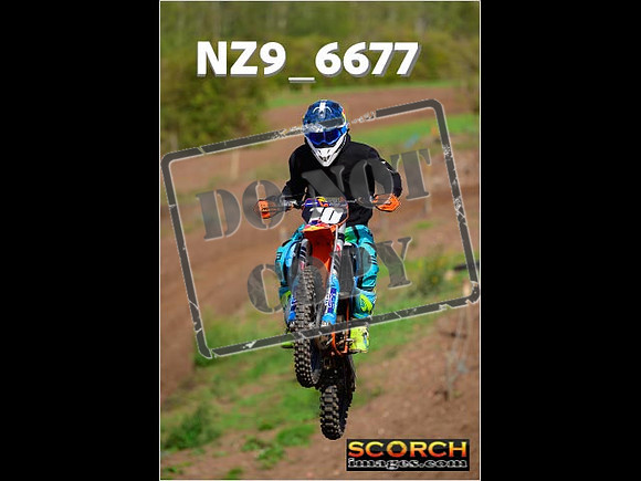 IntersGreen-231