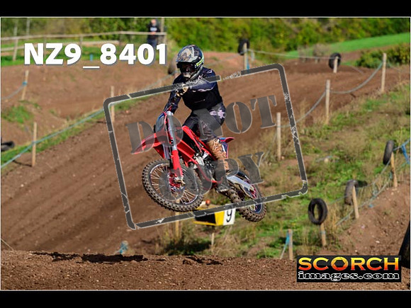Experts-163