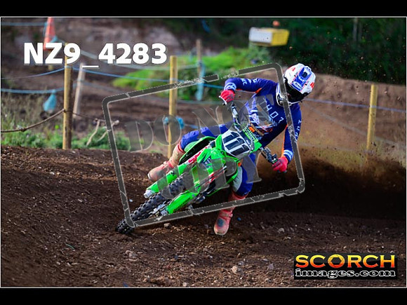 Experts-145