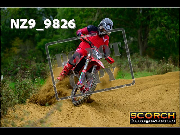Experts-245