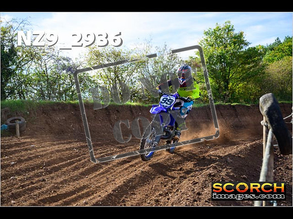 Experts-136