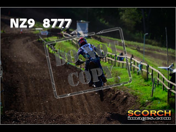 Experts-278
