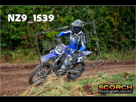 IntersGreen-105