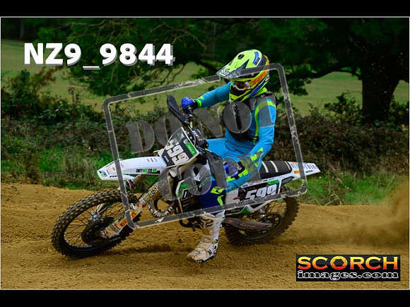 Experts-263