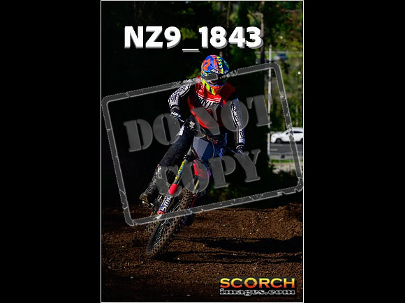 Inters-217
