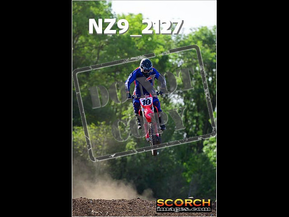 Experts-261