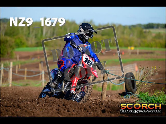 Experts-111