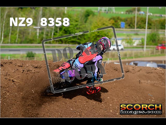 Experts-124