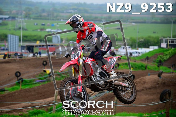 NZ9_9253