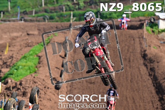 NZ9_8065