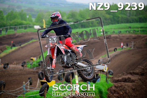 NZ9_9239