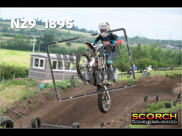 Experts-115