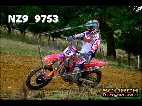 Experts-176