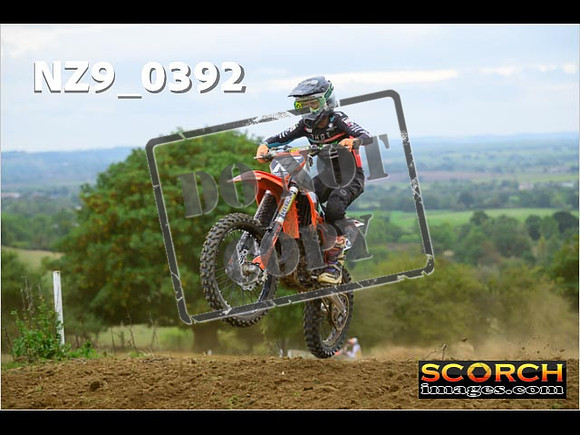Experts-340