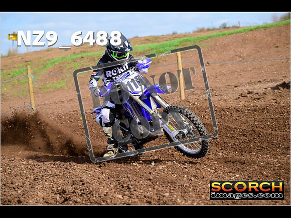 IntersBlue-240
