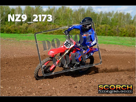 Experts-302