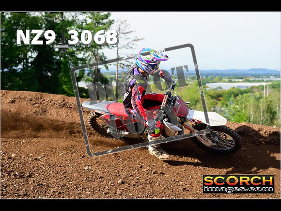 Experts-260