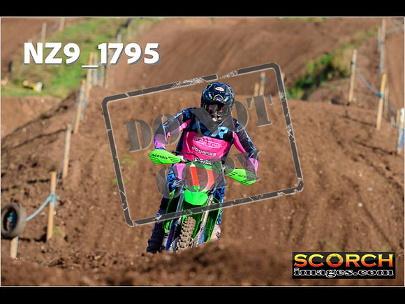 Experts-220