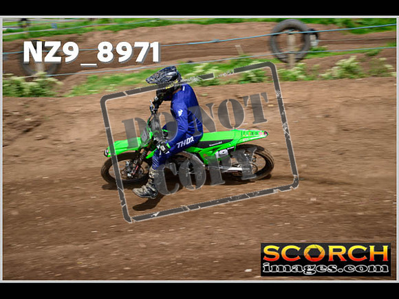Intermediate Green-098