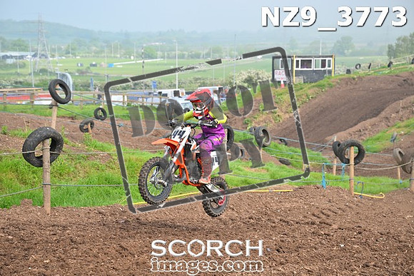 NZ9_3773