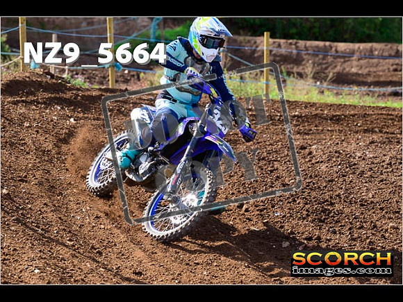 Inters-315