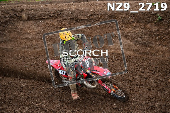 NZ9_2719