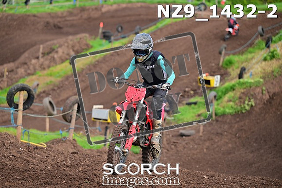 NZ9_1432-2