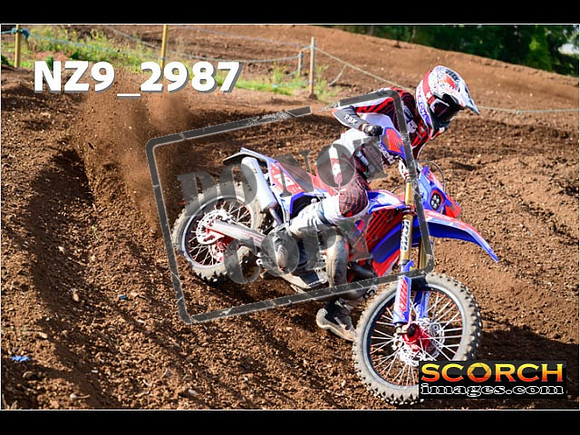 Experts-183