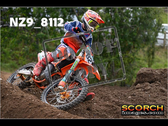 Experts-053