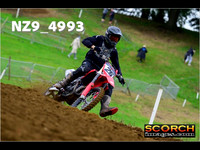 Experts-017