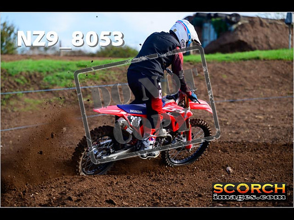 Experts-049
