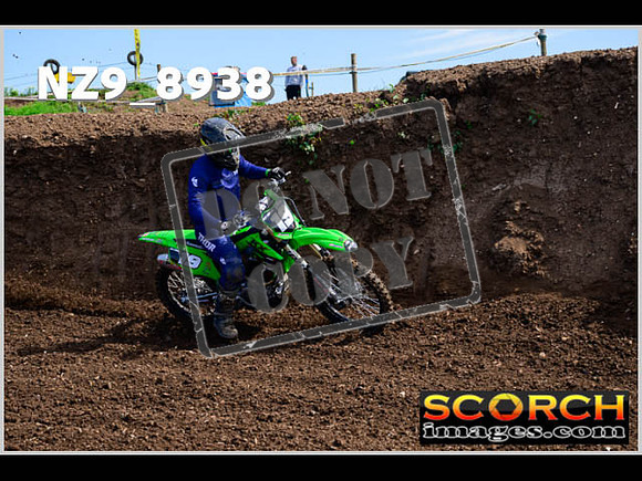 Intermediate Green-066