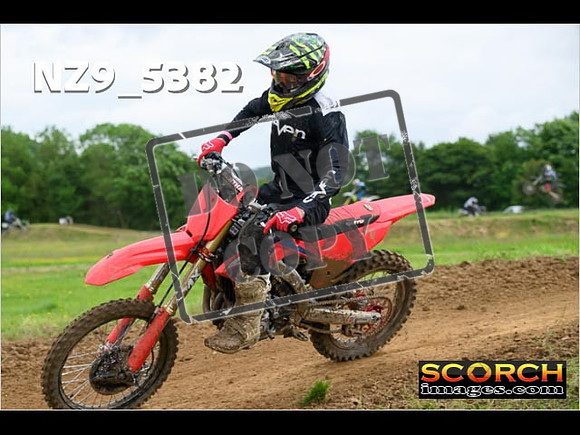 Experts-317