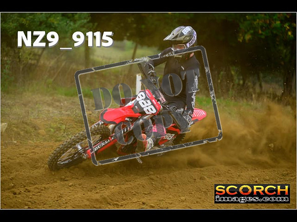 Experts-156
