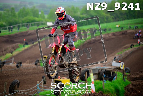 NZ9_9241