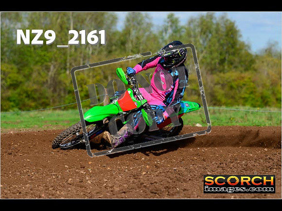 Experts-290