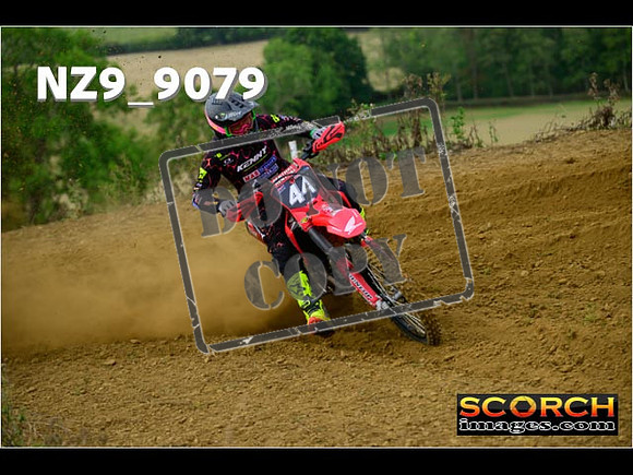Experts-122