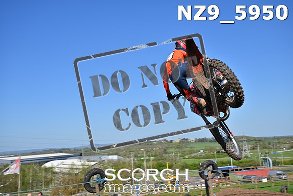 NZ9_5950