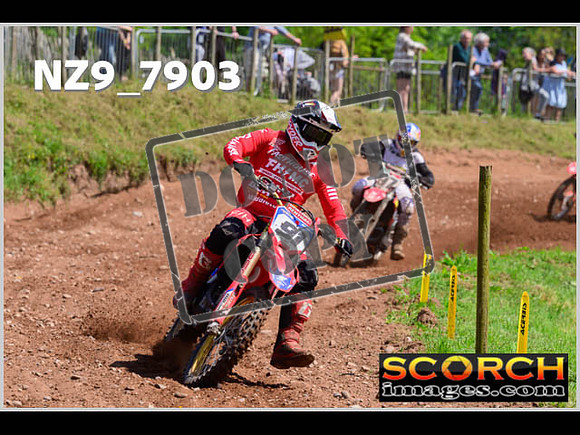 Lower Drayton Vets-33