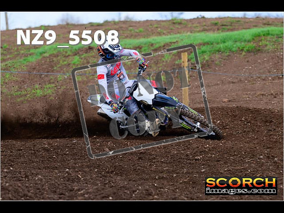 Experts-066