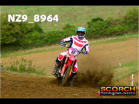 Experts-010